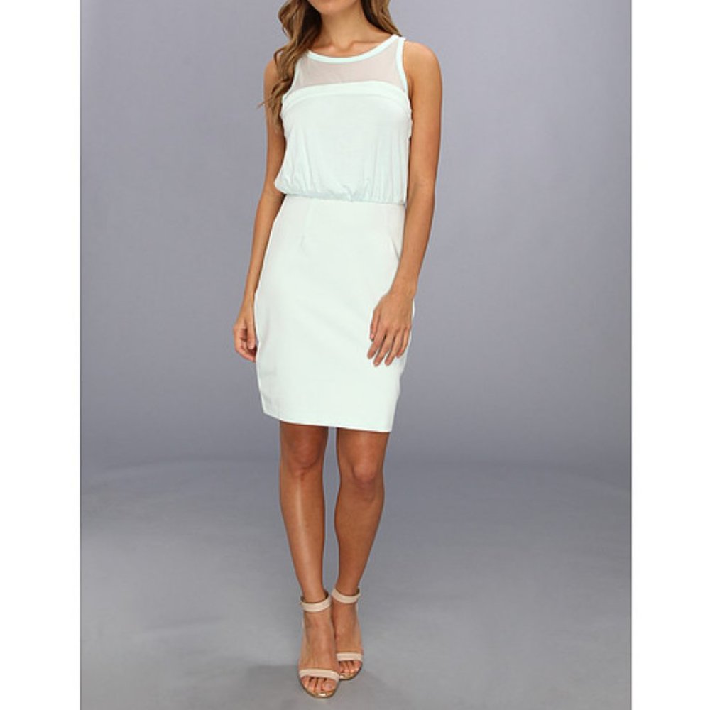 BCBGeneration Mink Mesh Dress